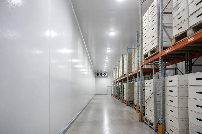 Chill room walls and ceiling lined in FRP gelcoat panels, with pallet racking beside them